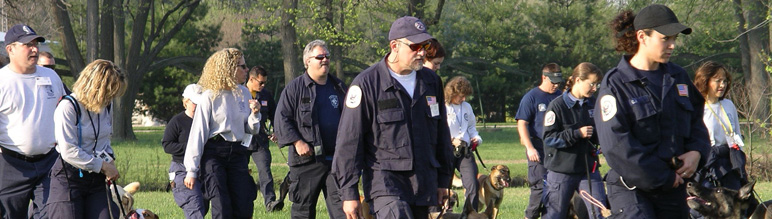 Homeland Security Personal train with canines.